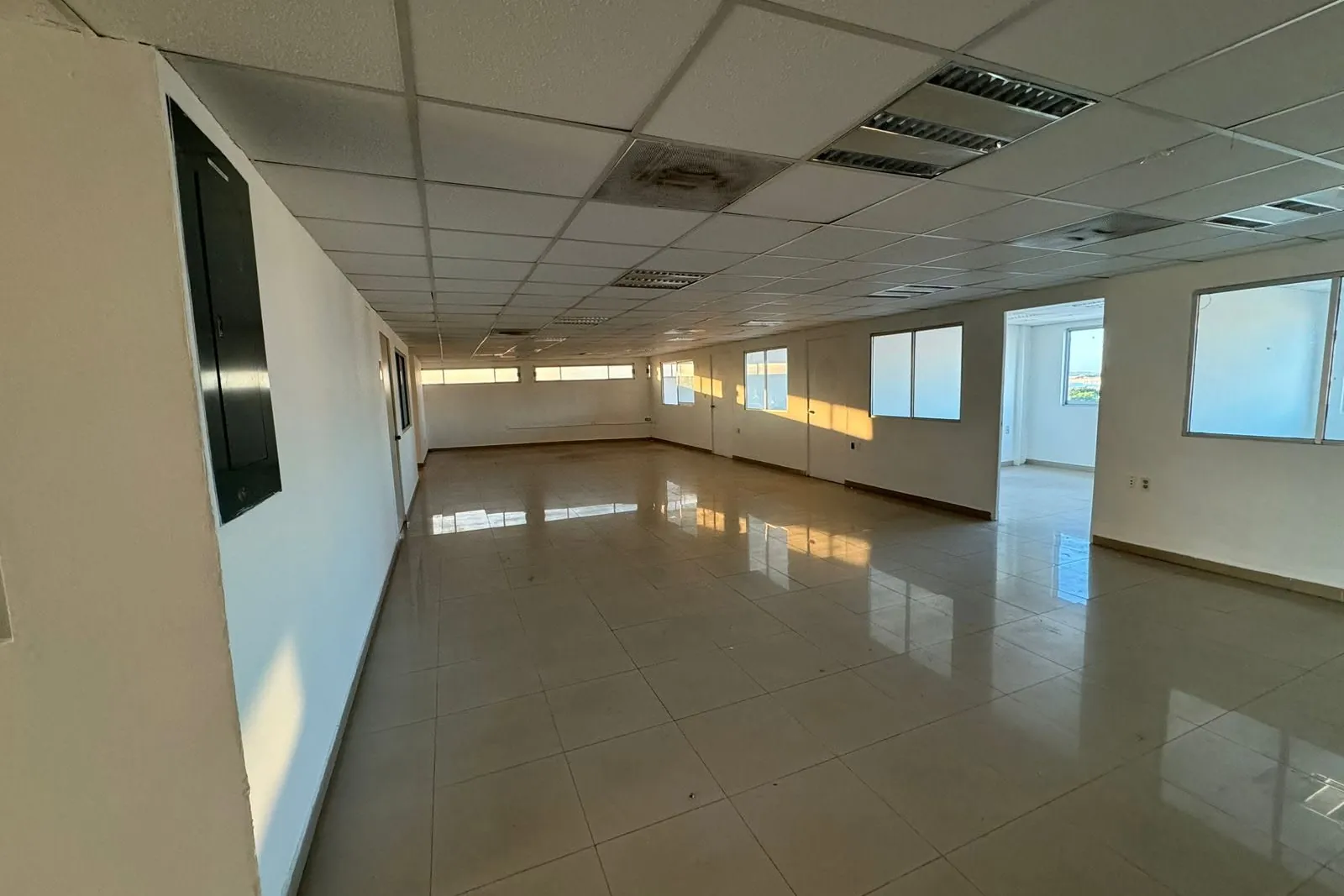 Nivel de oficinas con ventanas en ambos costados y privados al fondo